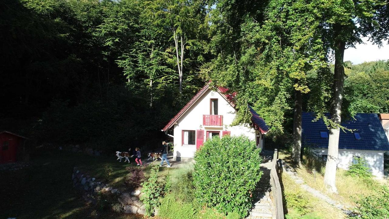 فيلا Ferienhaus Rotkaeppchen Sellin  المظهر الخارجي الصورة